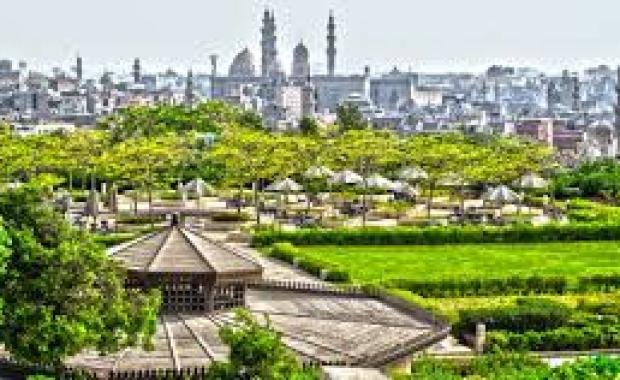 Cairo Egypt Greens